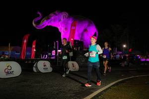 BIB: 
                            <button type="button" onclick="openModal(26534214)" class="btn btn-primary btn-sm float-right btn-popup" data-toggle="modal" data-target=".modal-high-quality">
                        <i class="fas fa-shopping-cart"></i> Add to Cart
                    </button>
                                            <button type="button" onclick="isThisMe(26534214, true)" class="btn btn-success btn-sm float-right btn-popup btn-isme hidden" data-toggle="tooltip" data-placement="bottom" title="นี่คือรูปของคุณใช่ไหม คลิกที่นี่เพื่อเอาเข้าอัลบั้ม">
                        <i class="fas fa-plus"></i> Add to album
                    </button>
                    <button type="button" onclick="isThisMe(26534214, false)" class="btn btn-warning btn-sm float-right btn-popup btn-isnotme hidden">
                        <i class="fas fa-ban"></i> Remove from album
                    </button>